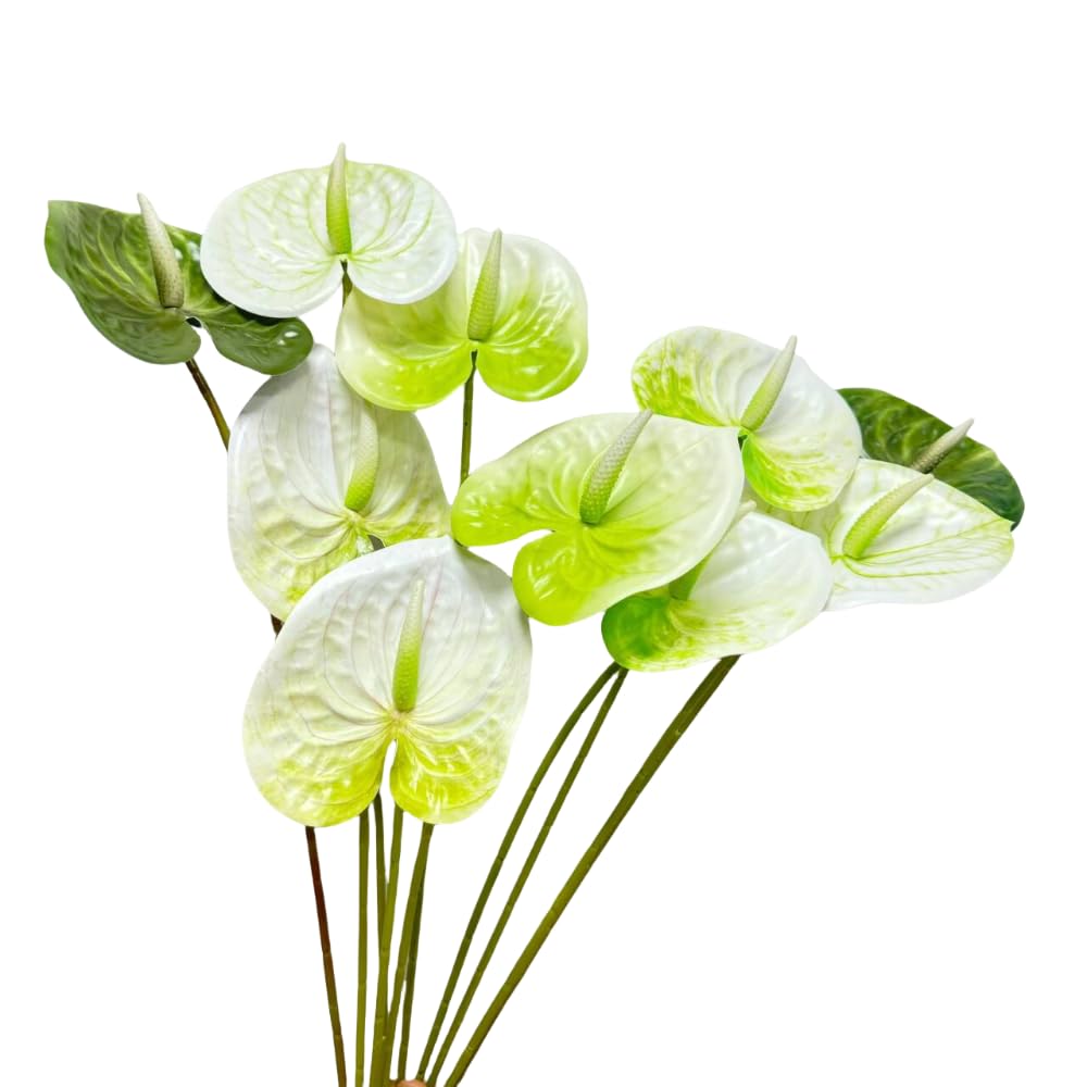 Photo 1 of 10 pcs 24"Artificial Anthurium Flowers with Stem, Fake Flower Filler Plants Real Touch Flower for Spring Home Decor,Table Centerpieces, Wedding Party Decor,Background Wall Decor (Mix White/Green)