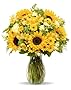 Benchmark Bouquets Rays of Sunshine, With Vase