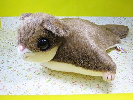 Amazon Aqua モモンガ L ぬいぐるみ おもちゃ