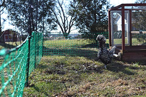 RentACoop Fencing Kit (60'L x 5'H)