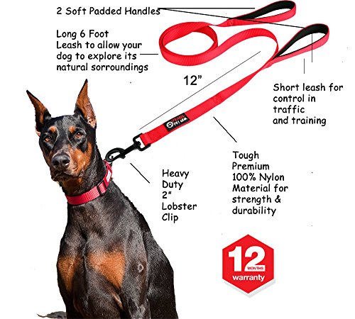 kong leash warranty