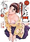 天保桃色水滸伝 第3巻