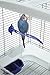 Vision Bird Cage Model S01 - Small