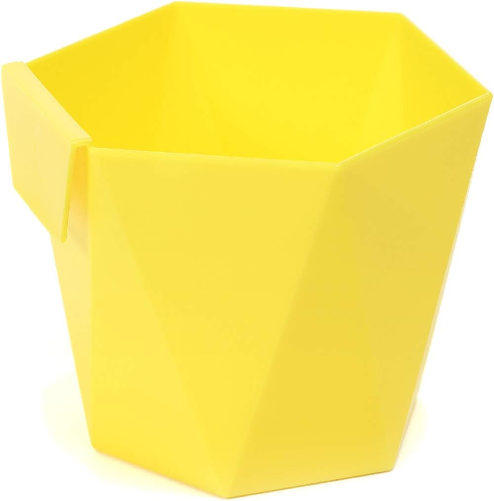 LamelaPot or Planter, Lemon Tree