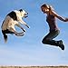 Nulo Puppy & Adult Freestyle Trainers Dog Treats: Healthy Gluten Free Low Calorie Grain Free Dog Training Rewards - Salmon Recipe - 4 Oz Bag