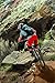 CamelBak Hydrobak Hydration Pack 50oz