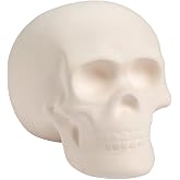Fun Express DIY Ceramic Skull | Halloween Crafts for Kids & Adults, Unpainted Bisque Ceramics to Paint, Professional-Grade Halloween Painting Kit