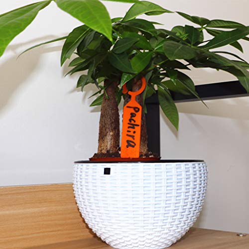 image for Ymeibe Plastic Gardening Plant Labels Waterproof Tree Plant Nursery La