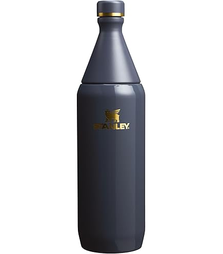 Amazon.com: Aladdin Chilled Thermavac Stainless Steel Water Bottle