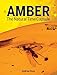 Amber: The Natural Time Capsule by 