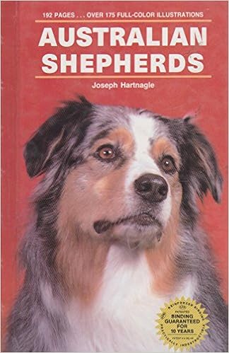 Buy Australian Shepherds Book Online at Low Prices in India ...