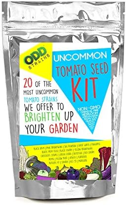 Odd Strains-Culinary Tomato Seeds (20 pack) – Heirloom Tomatoes including BeefSteak, Green Stripe, Black Krim, Floridade, Great White, Pineapple, Brandywine, Rainbow, Marglobe, Zebra, Cherry, more