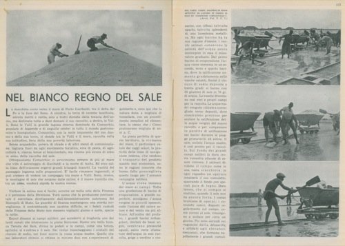 Nel bianco regno del sale.