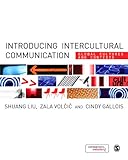 Introducing Intercultural Communication: Global Cultures and Contexts