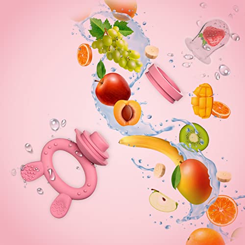 Luxior Fruit Feeder Baby Set Raspberry/Fruit Feeder for Baby + 3