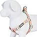 Blueberry Pet 9 Patterns Step-in Spring Scent Inspired Rose and Butterfly Print Pastel Pink Dog Harness, Chest Girth 16.5