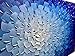 Desihum-Oil Paintings Modern Framed Art 3D Hand Painted Artwork Abstract Blue Flowers Pictures on Canvas Wall Art Ready to Hang for Living Room Bedroom Home Decor (24
