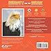 Beauty and the Beak: How Science, Technology, and a 3D-Printed Beak Rescued a Bald Eagle