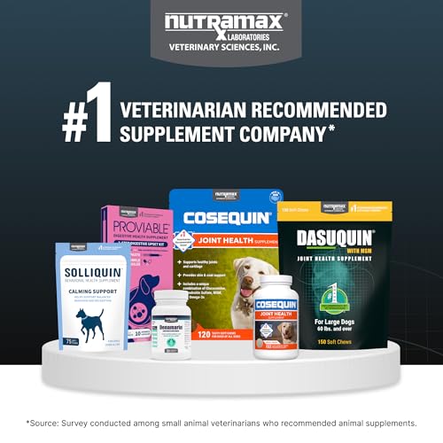 NUTRAMAX LABORATORIES DASUQUIN WITH MSM JOINT HEALTH SUPPLEMENT FOR LARGE DOGS – WITH GLUCOSAMINE, MSM, CHONDROITIN, ASU, BOSWELLIA SERRATA EXTRACT, AND GREEN TEA EXTRACT, 150 SOFT CHEWS