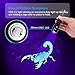 UV Flashlight, Fyland Blacklight 395 nm CREE LED Ultraviolet Pet Urine Detector, Outdoor Tactical Waterproof Rechargeable for Animal Urine Detection, Pet Stains and Bed Bug - Batteries and Charger