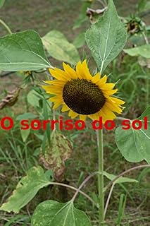 Livro O sorriso do sol
