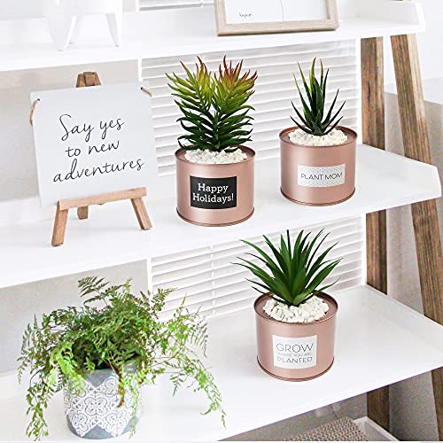 LotFancy Faux Succulents Plants for Desk Decor, Office Artificial Potted Fake Plants for Bedroom Kitchen, 3 Pcs Plastic Artificial Succulents with Metallic Rose Gold Jars & Decoration Accessories