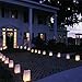 Since White Luminary Bags - 20 Count - Stars Design - Wedding, Reception, Party and Event Decor - Flame Resistant Paper - Luminaria (Stars)
