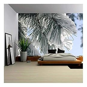 Closeup to Snow Covered Pine Branch - Canvas Art Wall Decor - 66"x96"