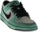 NIKE Men's Dunk Low Pro IW Skate Shoe