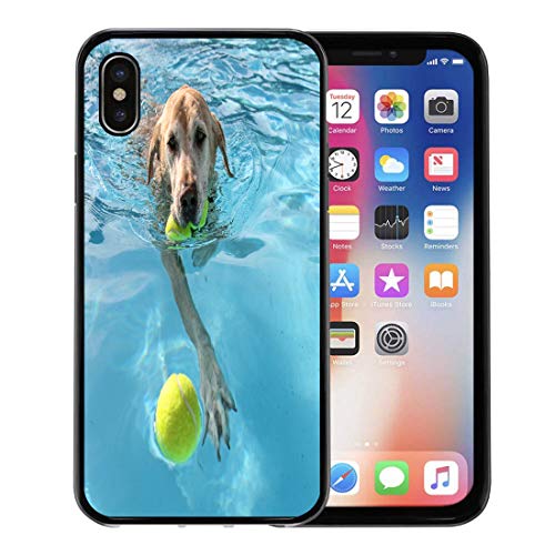 Emvency Phone Case for Apple iPhone Xs case,Yellow Labrador Dog at Local Public Pool Blue Summer Lab Ball Best for iPhone X Case,Rubber Border Protective Case,Black
