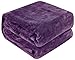 Qbedding Inc. Luxury Collection Microplush Flannel Fleece Blanket | Ultra Soft 380 GSM Lightweight All-Season Anti-Static Throw/Blanket for Sofa Couch Bed (Queen (78-Inch-by-90-Inch), Purple)