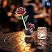 PREUP Love Forever Beautiful Long Stem Gold Foil Trim Red Rose Flower Best Gift (Red)