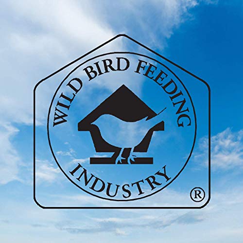 Blue Seal Nut Feast Suet Cakes for Wild Birds - No Mess Suet Feed, Food