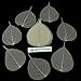 NAVA CHIANGMAI FLOWERS Skeleton Natural Ficus Religiosa Leaves Artificial Leaves Craft Card Scrapbooking DIY Embellishment Decoration Art Greeting Cards Wedding Gifts Seasonal Gift (Natural Color)