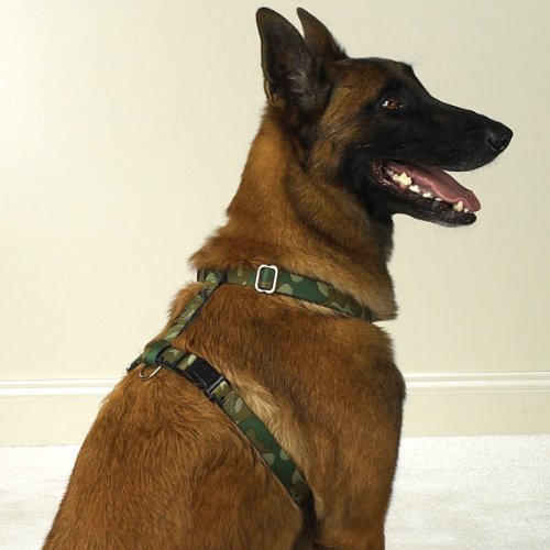 Guardian Gear Nylon Camo Dog Harness, 8-14-Inch, Green