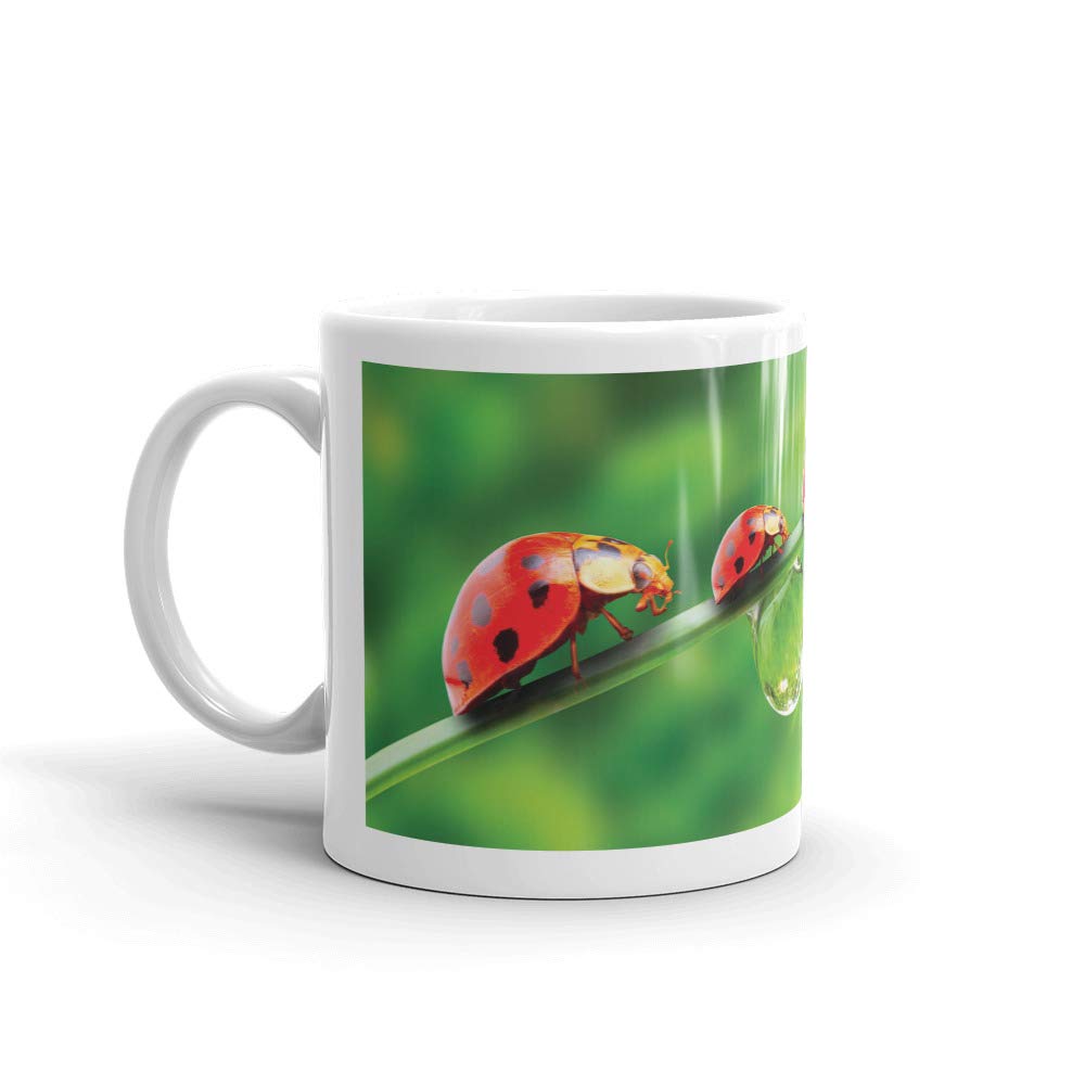 DV Mugs Ltd Beautiful Lady Bird Mug - Ladybird Ladybug Insect Bug Kids Mum Auntie #8245 (Mug)