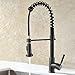 Avola Lead Free Kitchen Faucet, Modern Stainless Steel Single Handle Pull Down Sprayer Spring Brushed Nickel Kitchen Faucet