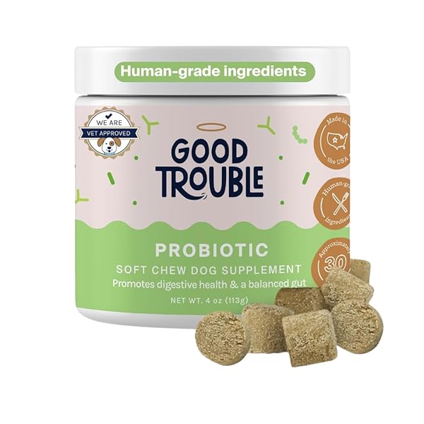 GOOD TROUBLE PETS PROBIOTIC SUPPLEMENT FOR DOGS –...
