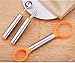 WAAO 3-in-1 Stainless Steel Melon Baller & Carving Knife & Fruit Scoop Set for Fruit Slicer Dig Pulp Separator and Carve