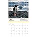 Penguins 2017 National Geographic Wall Calendar
