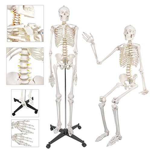 image for F2C 180cm/70.8