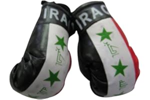 FNG MINI BOXING GLOVES Flag Mini Small Boxing Gloves to Hang Over Car Automobile Mirror – Asia & Africa (1-Pack, Country: Iraq)