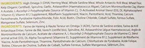 Northfin Food 250 Gram Package Tropical Stick Natural Colour Enhancer