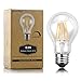 Ascher E26 LED Classic Light Bulbs / 4W, Equivalent 40W, 420lm / Warm White 2700K / Filament Clear Glass/Dimmable/Pack of 6