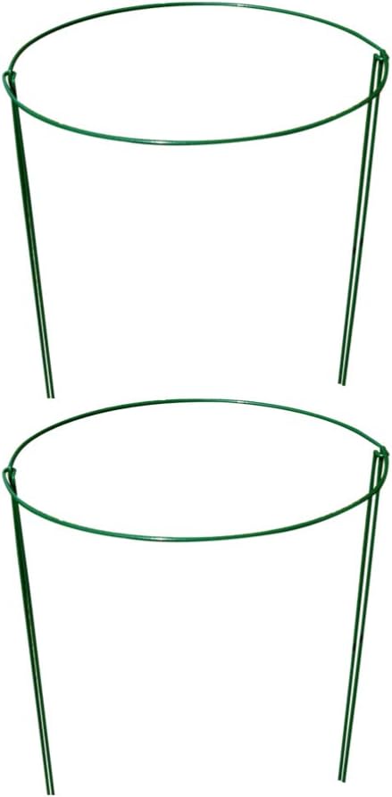 Amazon.com : Cabilock 2PCS Plant Support Stake Round Metal Garden Plant