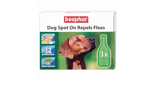 Beaphar Dog Spot On Repels Fleas Kopek Pire Damlasi Amazon Com Tr Kitap