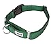 GOGO Pet Products 1-Inch Martingale Dog Collar, Large, Hunter Green