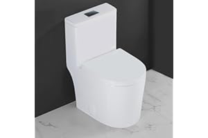 WinZo WZ5089WB Small Toilet One Piece Deisgn With Black Push Button Dual Flush,23 inch Length for Tiny Bathroom,White
