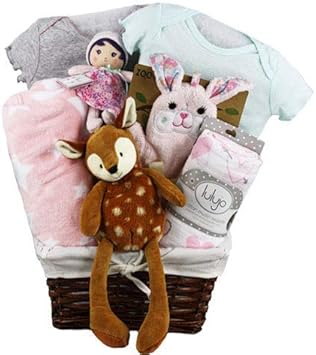 amazon new baby girl gifts