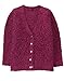 Gymboree Girls' Little Boyfriend Sweater